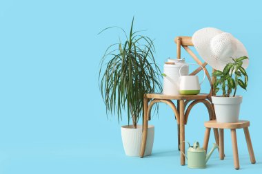 Mavi arka planda bitki ve bahçe malzemeleri olan sandalyeler.