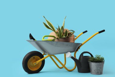 Mavi arka planda bitki ve bahçe malzemeleri olan el arabası.
