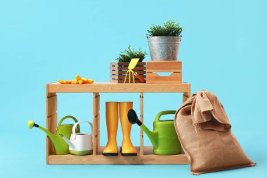 Mavi arka planda bitki ve bahçe malzemelerinin yanında durun.