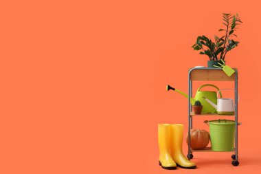 Raflarda bitkiler, balkabağı ve turuncu arka planda bahçe malzemeleri var.