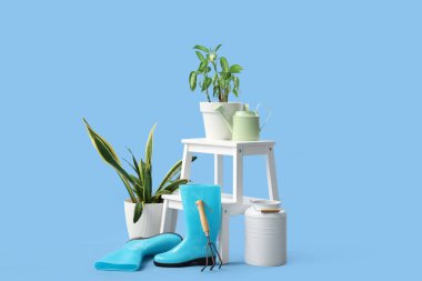 Mavi arka planda bitki ve bahçe malzemelerinin yanında durun.