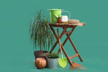 Yeşil arka planda bitkiler, balkabağı ve bahçe malzemeleri olan masa.