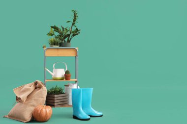 Yeşil arka planda bitkiler, balkabağı ve bahçe malzemeleri olan raf ünitesi.