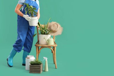 Bahçe malzemeleri, sandalye ve yeşil arka planda bitkileri olan genç bir kadın bahçıvan.