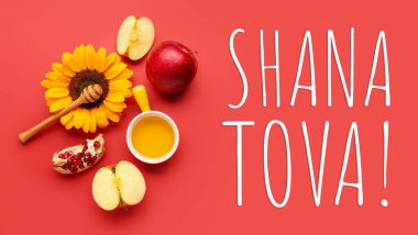 Kırmızı zemin üzerinde Rosh Hashanah kutlaması (Yahudi Yeni Yılı) için elma, nar ve ayçiçekli bal kasesi