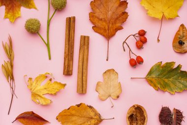 Pembe arka planda güzel sonbahar kompozisyonu