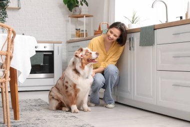 Avustralya çoban köpeği olan genç ve güzel bir kadın.