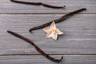 Güzel vanilya çiçeği ve gri ahşap arka planda sopalar.
