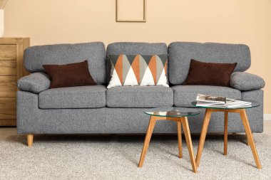 Rahat kanepesi, yastıkları ve kahve masası olan modern oturma odasının içinde.