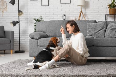 Evdeki kanepenin yanında sevimli Beagle köpeğiyle oynayan genç bir kadın.