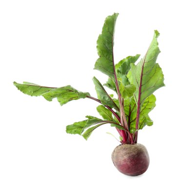 Beyaz arka plan üzerinde taze pancar