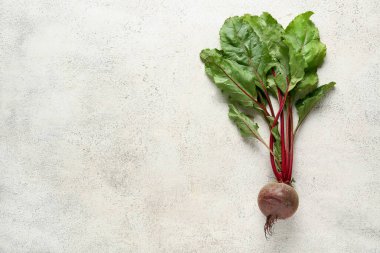 Hafif arkaplanda taze pancar kökü