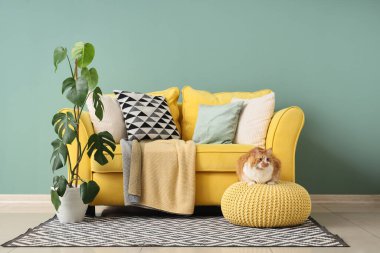 Oturma odasında sarı puf üzerine uzanmış sevimli tüylü kedi.