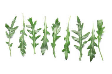 Beyaz arkaplanda yeşil roka yaprakları