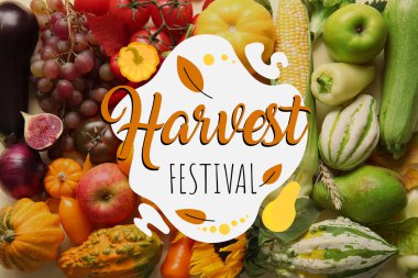 Arka planda meyve ve ayçiçeği olan taze sebzeler. Hasat festivali