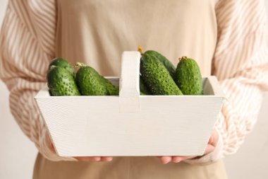 Woman holding basket with fresh green cucumbers on white background