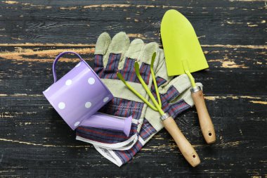 Siyah ahşap arka planda bahçe aletleri. Üst görünüm