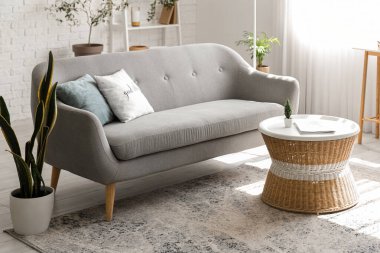 Işıl ışıl oturma odasının içinde rahat gri kanepe, ev bitkileri ve kahve masası.