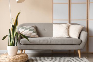 Oturma odasının içinde gri kanepe, bitki ve katlanmış ekran var.