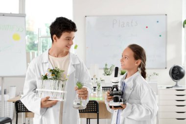 Mikroskoplu gözbebekleri ve biyoloji sınıfındaki bitkiler.