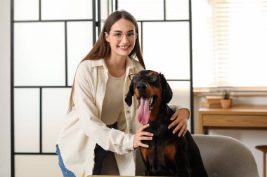 Şirin Doberman köpeği ve işyerindeki genç ve güzel mutlu kadın.