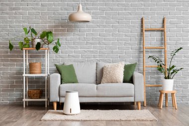 Kanepesi, bitkileri ve hava nemlendiricisi olan modern oturma odasının içinde.