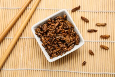 Kızarmış böcekler ve bambu hasırları ile kase.