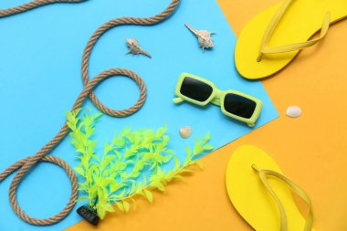 Parmak arası terlikli güneş gözlükleri, deniz kabukları ve renkli arka planda mercan. Yaz konsepti