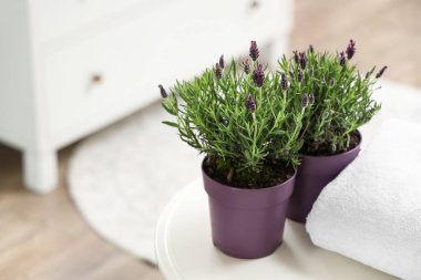 Lavabodaki sehpanın üzerinde lavanta çiçekleri ve havlu var. Yakın plan.