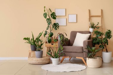 Oturma odasındaki bej duvarın yanında ahşap merdiveni ve yumuşak koltuğu olan farklı bitkiler.