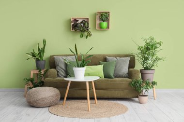 Farklı bitkiler ve oturma odasındaki yeşil duvarın yanındaki rahat kanepe.