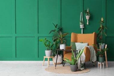 Oturma odasındaki yeşil duvarın yanında yumuşak koltuklu ve masalı farklı bitkiler.