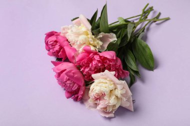 Leylak arka planında farklı güzel şakayık çiçekleri, yakın plan.