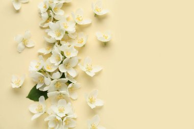 Sarı arka planda güzel yasemin çiçekleri