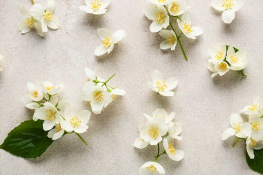 Grunge arka planında güzel yasemin çiçekleri