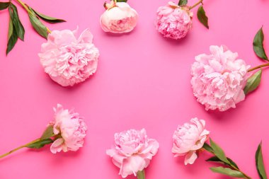 Pembe arka planda güzel şakayık çiçeklerinden yapılmış çerçeve