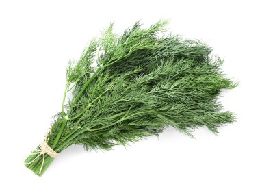 Beyaz arka planda bir demet taze yeşil dereotu