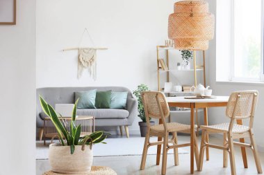 Rahat bir kanepe, saksı, çaydanlık ve fincanla dolu bir masa.