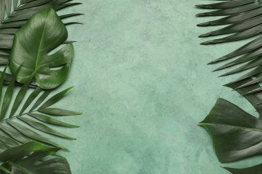 Yeşil grunge arka planda farklı tropikal yapraklardan yapılmış çerçeve, yakın plan