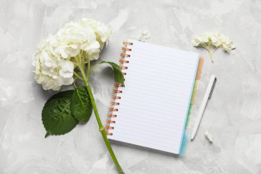 Hafif grunge arkaplan üzerinde defter ve kalem ile beyaz ortanca çiçeği