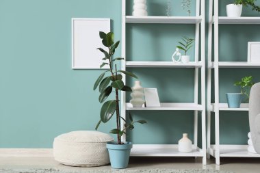 İçinde pouf, raf üniteleri ve ev bitkileri olan oturma odası, yakın plan.