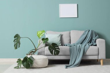 Gri kanepe, puf ve çiçekli oturma odası, yakın plan.