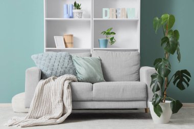 Oturma odasının içinde rahat bir kanepe ve nane duvarının yanında raf ünitesi var.