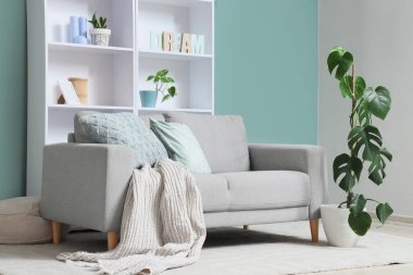 Oturma odasının içinde rahat bir kanepe ve nane duvarının yanında raf ünitesi var.