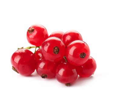 Beyaz arka plan üzerinde taze kırmızı kuş üzümü