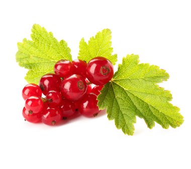 Beyaz arkaplanda yaprakları olan taze kırmızı üzümler