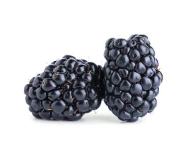 Beyaz arka planda olgun böğürtlenler