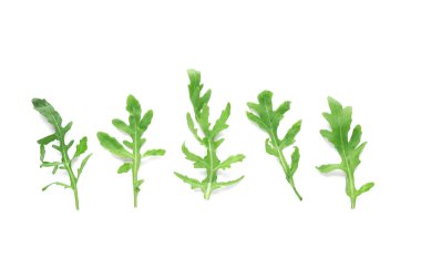 Taze roka yaprakları beyaz arkaplanda izole edilmiş, yakın plan