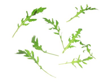 Uçan taze roka yaprakları beyaz arkaplanda