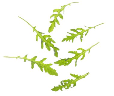 Uçan taze roka yaprakları beyaz arkaplanda